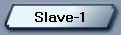 Slave-1